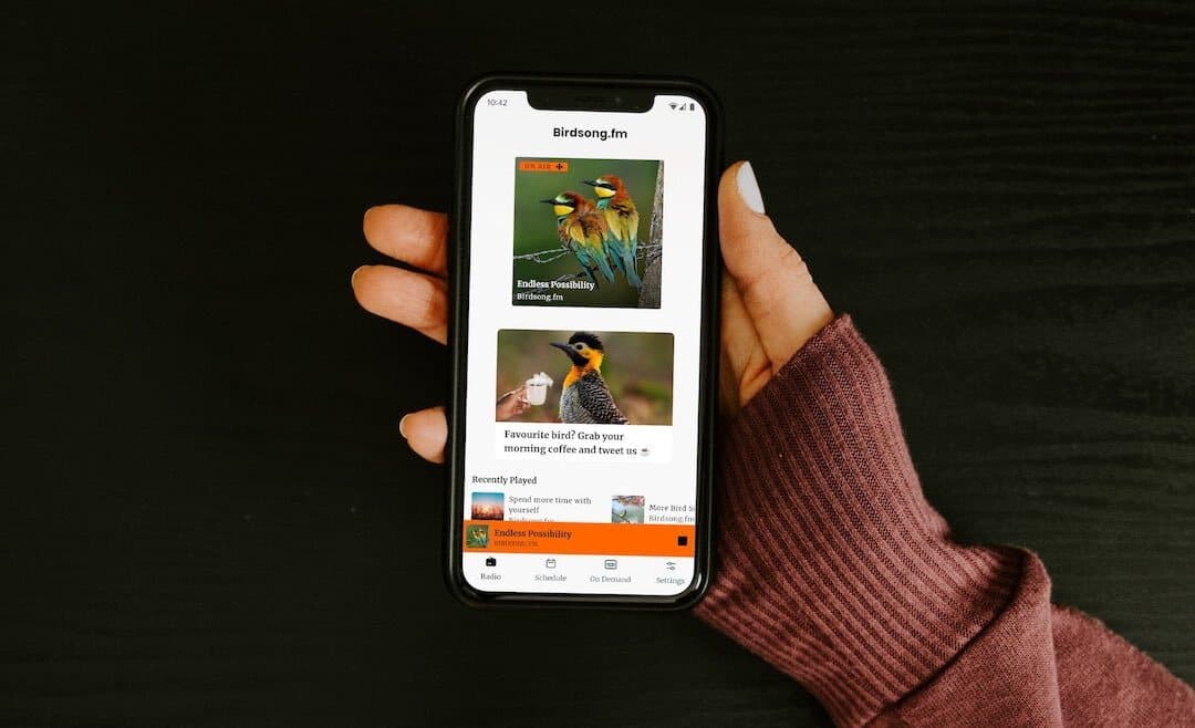 A woman's hand holding a phone, with the Birdsong.fm live campaign on the screen.