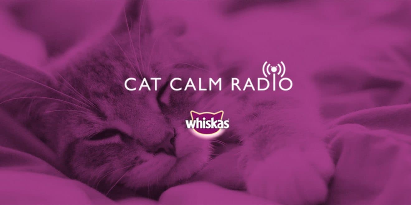 Image is the artwork design for Whiskas Cat Calm Radio, featuring a purple background of a sleeping cat, white font that reads "Cat Calm Radio" and the Whiskas logo is below this font.