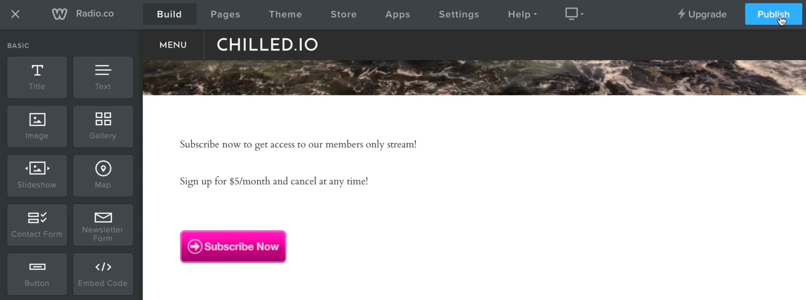 Image shows the subscription area live on the radio station example website.