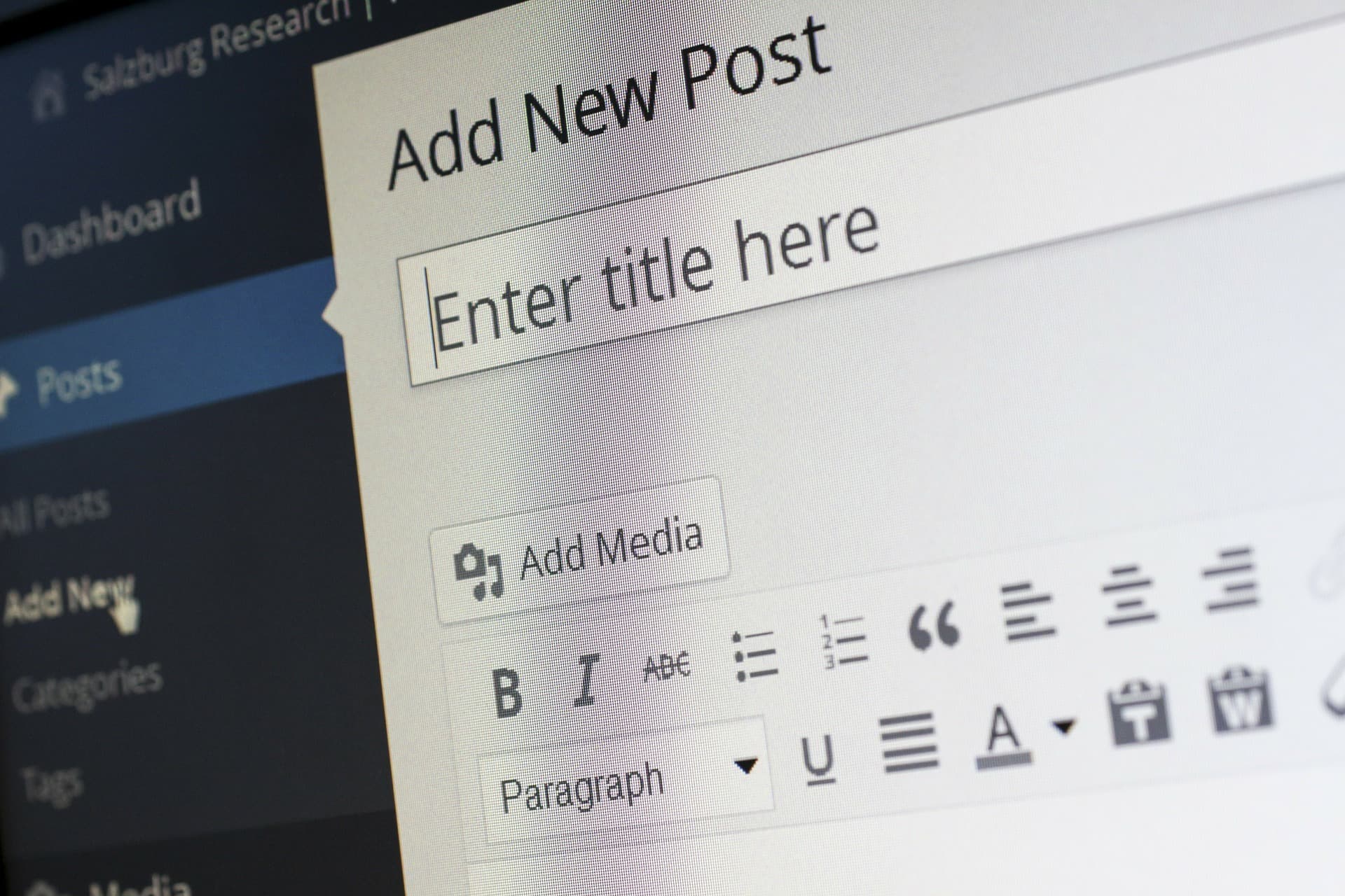 Image shows a close-up of the 'Add New Post' tab within Wordpress.