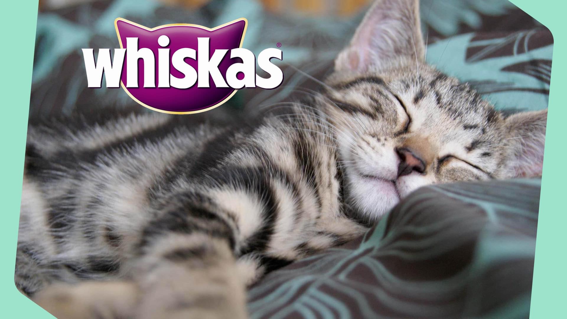 Whiskas Cat Calm Radio Header