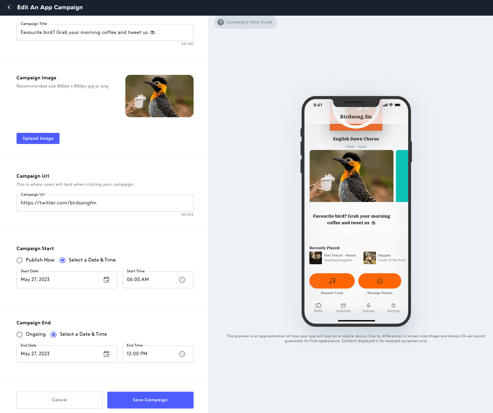 A screenshot showing how to edit an app campaign.