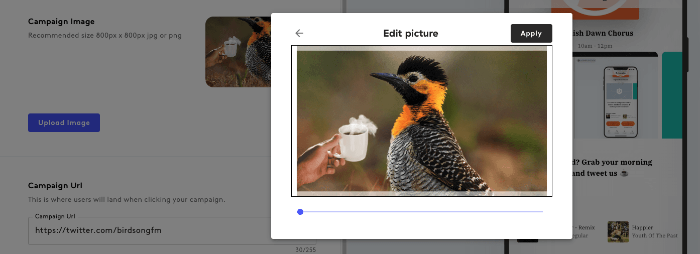 A screenshot showing how to choose an app campaign image.