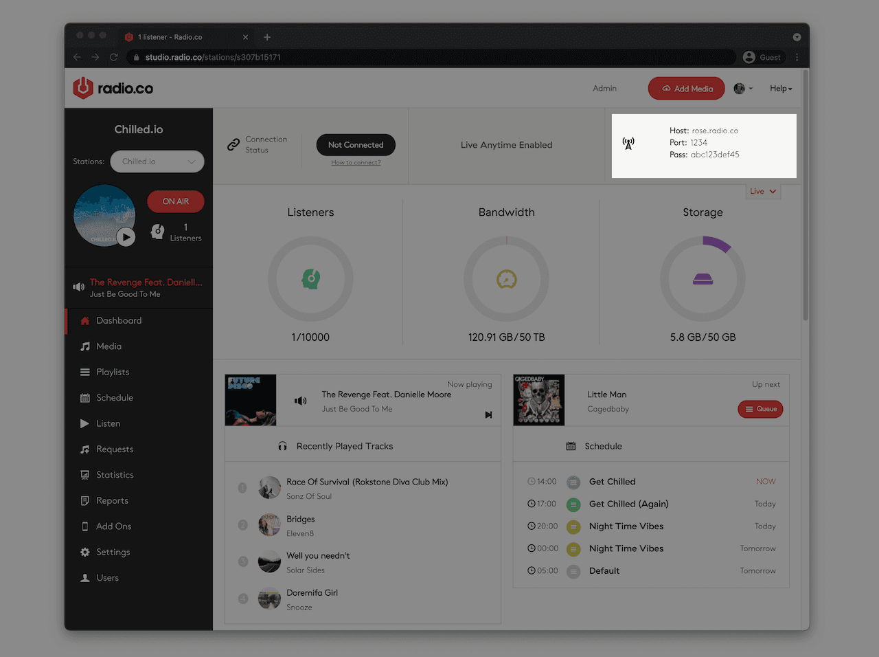 Image shows the Live DJ details in the Radio.co dashboard.