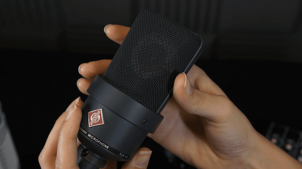 Image shows a pair of hands holding the Neumann TLM103 microphone.