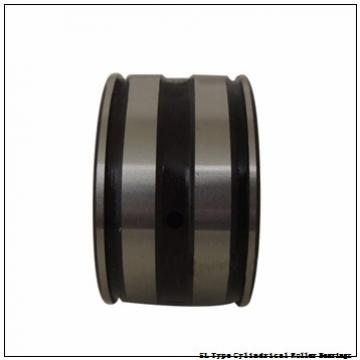 NTN  SL01-4876 SL Type Cylindrical Roller Bearings  