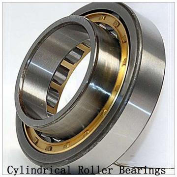 NTN  SL01-4972 SL Type Cylindrical Roller Bearings  