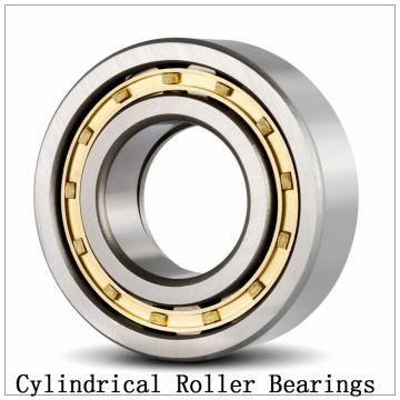 NTN  SL02-4956 SL Type Cylindrical Roller Bearings  