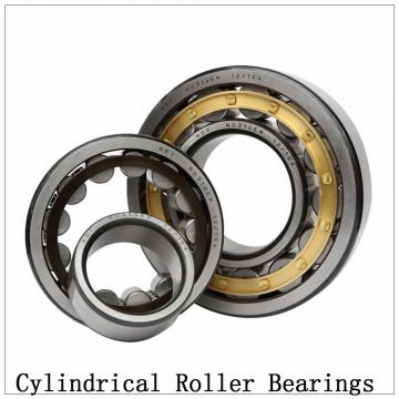NTN  SL02-4922 SL Type Cylindrical Roller Bearings  