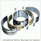 NTN  SL04-5038NR SL Type Cylindrical Roller Bearings for Sheaves  