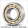 NTN  SL01-4876 SL Type Cylindrical Roller Bearings  