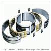 NTN  SL04-5020NR SL Type Cylindrical Roller Bearings for Sheaves  