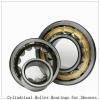 NTN  SL04-5060NR SL Type Cylindrical Roller Bearings for Sheaves   #2 small image
