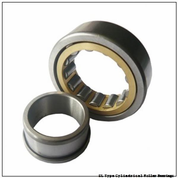 NTN  SL01-4876 SL Type Cylindrical Roller Bearings   #2 image