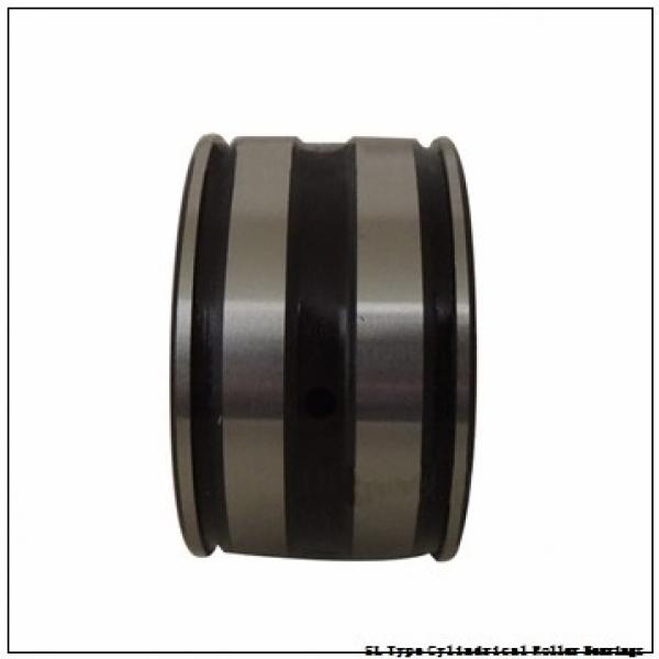 NTN  SL01-4836 SL Type Cylindrical Roller Bearings   #1 image