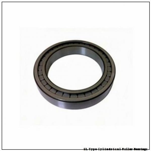 NTN  SL02-4868 SL Type Cylindrical Roller Bearings   #2 image