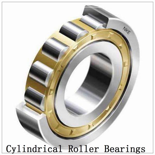 NTN  SL01-4848 SL Type Cylindrical Roller Bearings   #3 image