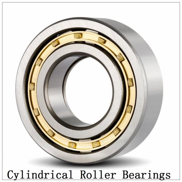 NTN  SL01-4876 SL Type Cylindrical Roller Bearings   #3 image