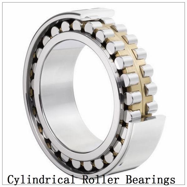 NTN  SL01-4972 SL Type Cylindrical Roller Bearings   #3 image
