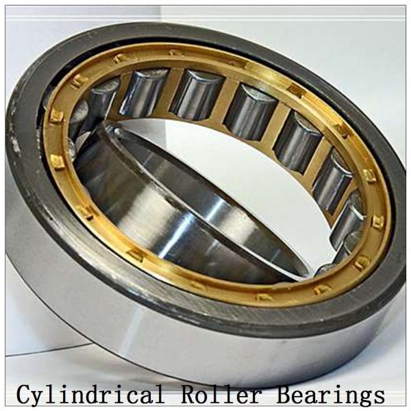 NTN  SL02-4936 SL Type Cylindrical Roller Bearings   #3 image